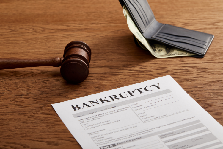 Insolvency Laws Image